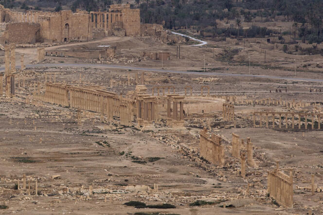 Les ruines de la cité antique de Palmyre (Syrie), le 14 avril.