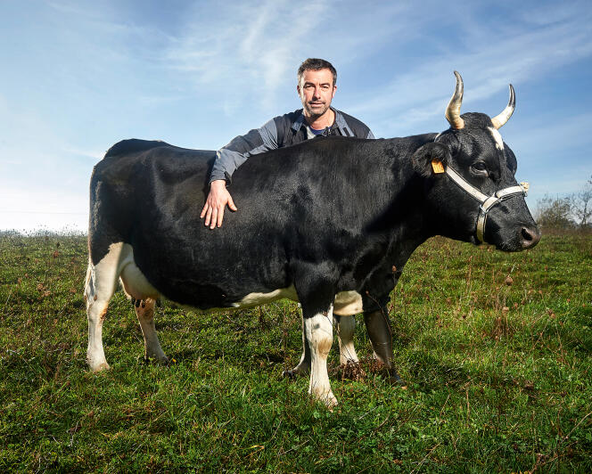 Cédric Briand dans sa ferme des Sept-Chemins, en Loire-Atlantique, avec Fine, l’une de ses bretonnes pie noir.