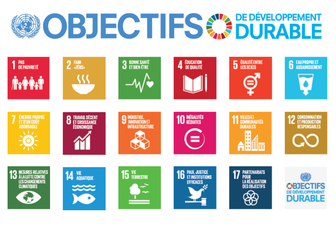 « L’un des 17 Objectifs de développement durable (ODD) adoptés en 2015 par les Nations unies porte sur la réduction des inégalités économiques ». (Photo : capture d’écran du site des nations unies).