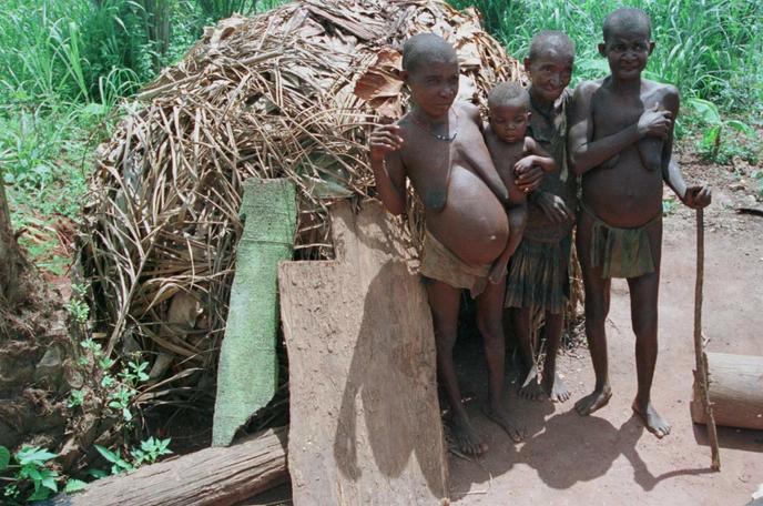 RDC 15 morts dans des  affrontements entre Pygm es et Bantous