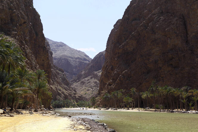 Au sultanat d’Oman, la nature est farouchement préservée.