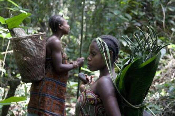 Femmes baka dans le sud-est du Cameroun.