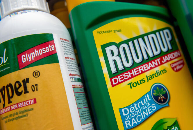 Une bouteille de l’herbicide Roundup dans un magasin de jardinage, à Lille, le 15 juin 2015. Le glyphosate est un principe actif présent dans le Roundup.