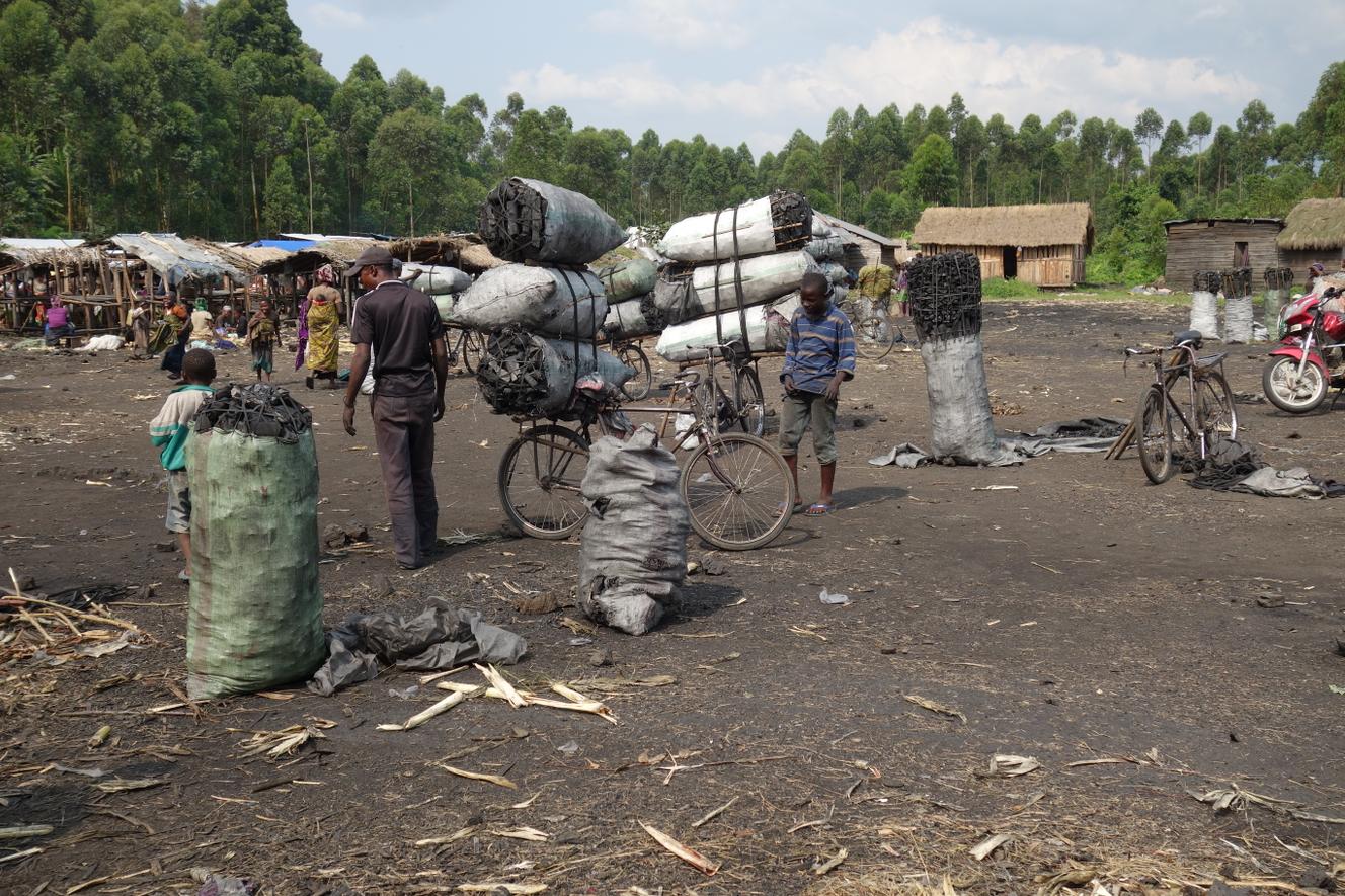 En RDC, le trafic du charbon de bois, sève de la guerre