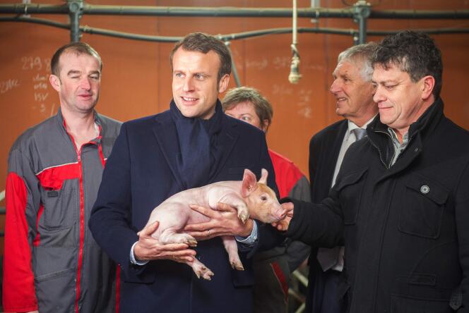 Emmanuel Macron dans un élevage porcin à Moustoir-Remungol (Morbihan), le 17 janvier.