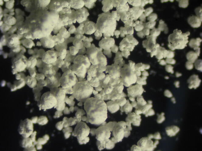 Du dioxyde de titane broyé, au microscope, en 2010.