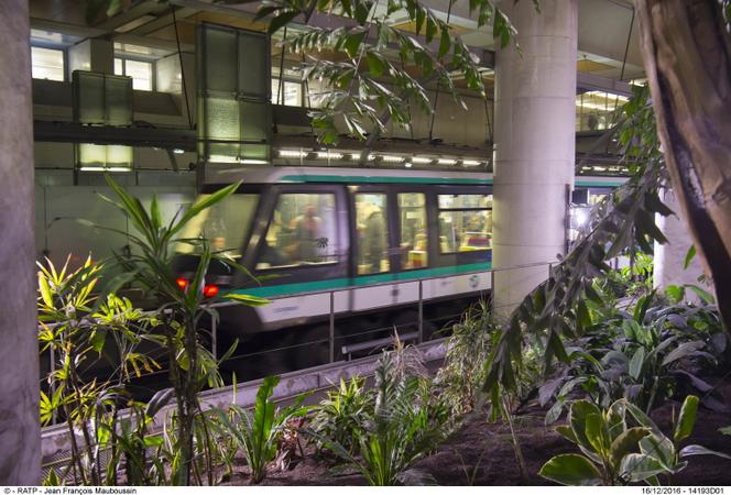 La serre intérieure présente dans la station de métro Gare-de-Lyon, du côté droit des rames en direction d’Olympiades.