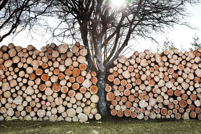 La coupe du bois et la taille du granit, les deux activités séculaires de Bugeat, en Corrèze, où est attendue une famille de réfugiés soudanais.