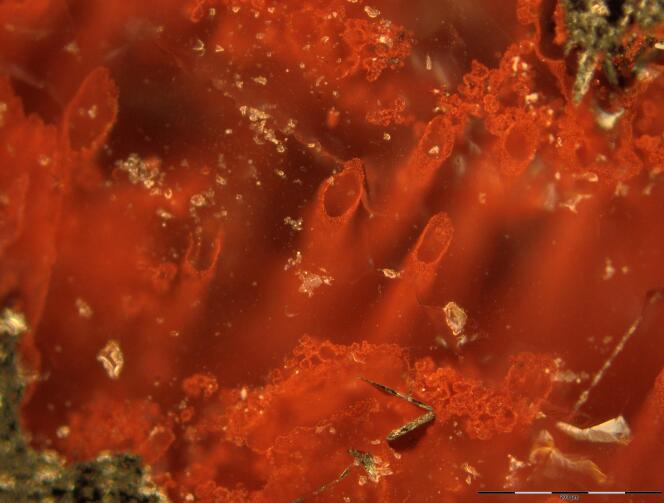 Structures tubulaires attribuées aux plus anciens microfossiles connus, découverts dans une structure géologique au Canada.