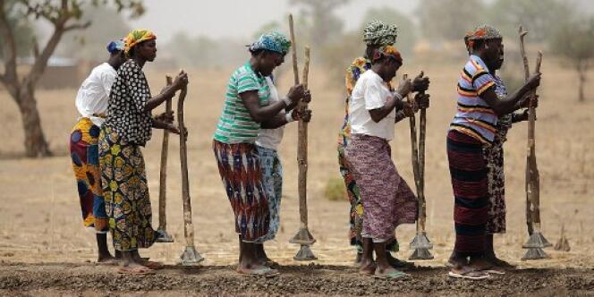 Des femmes travaillent dans les champs, à Diapaga, au Burkina Faso, en mars 2012.