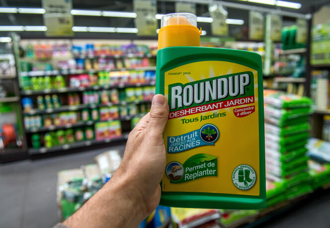 Du Rounup, pesticide contenant du glyphosate, dans un magasin de jardinage près de Lille.
