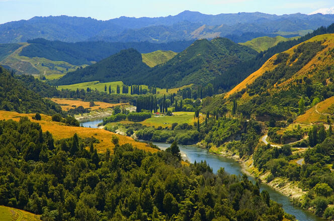 Le fleuve Whanganui, dans l’île du Nord, en Nouvelle-Zélande.
