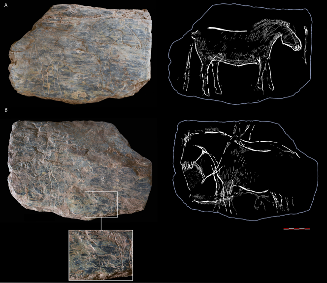 Tablette n° 741 trouvée sur le site du rocher de l’Impératrice, près de Plougastel-Daoulas (Finistère). Les chevaux présents sur les deux faces ont été gravés il y a 14 000 ans.