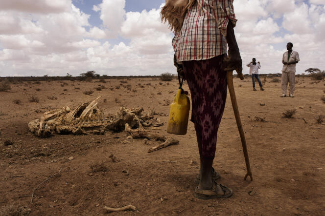 Hussein Dirie (de dos) a 70 ans, il fait partie de l’une des rares familles qui n’a pas quitté la région. Ses animaux  sont trop faibles pour se déplacer. A Xidh Xidh, en Somalie, le 22 mars.