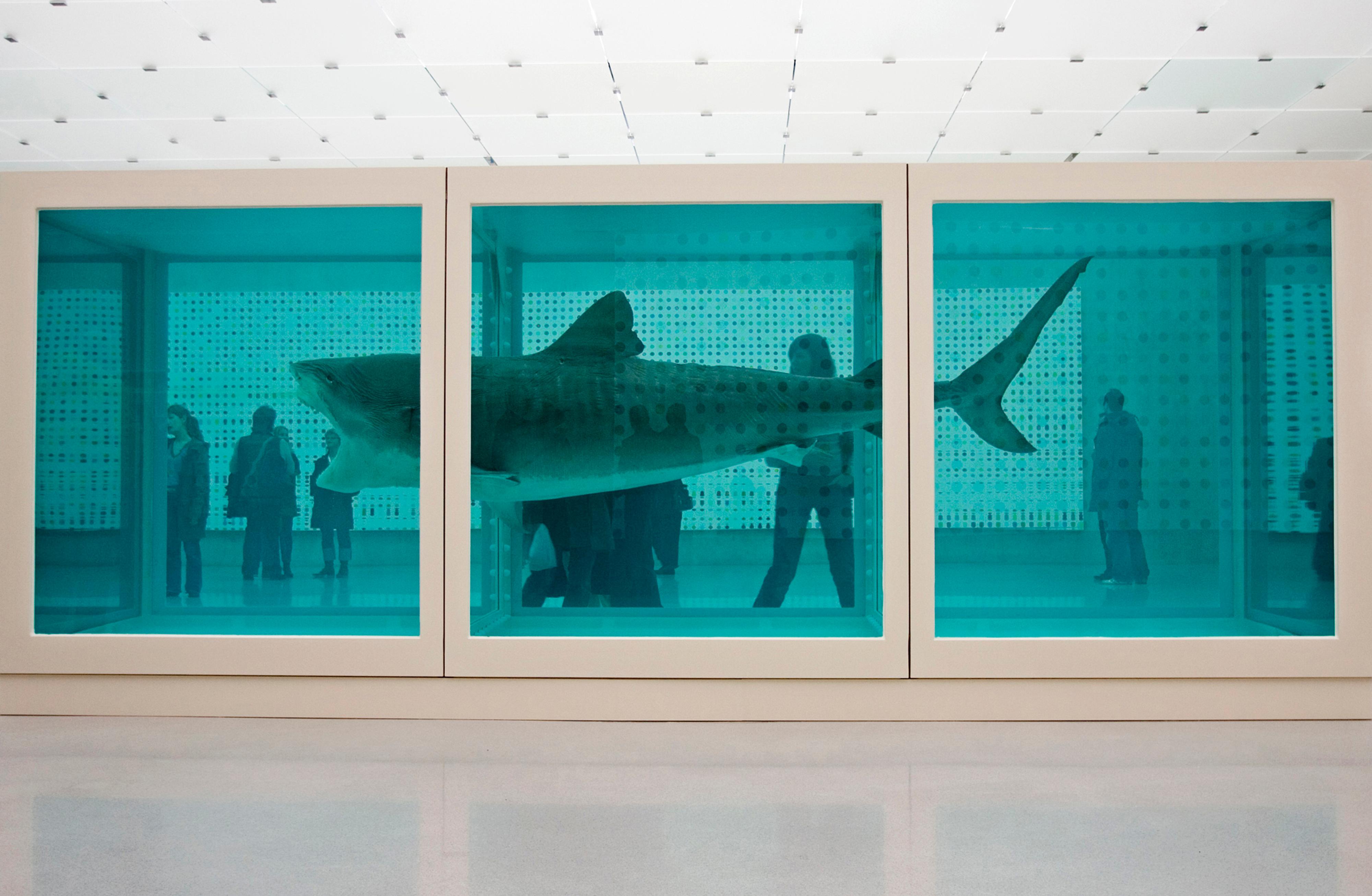 L’œuvre XXL de Damien Hirst L’œuvre XXL de Damien Hirst