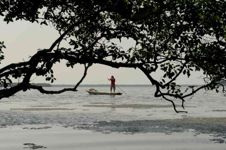 Les pêcheurs de Chilaw se sont transformés en véritables « rangers » du lagon. La plupart du temps, ils n’ont pas à intervenir : les habitants de la région ont compris que protéger la mangrove garantissait les moyens de leur propre survie.