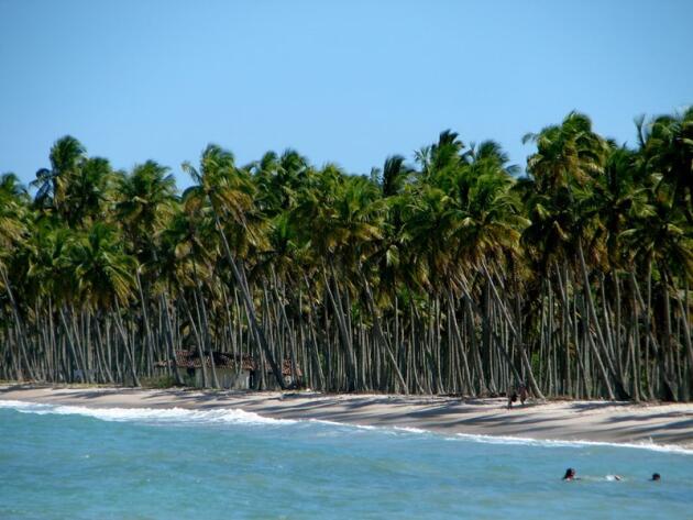 Des plages à perte de vue, des mangroves et des cocoteraies...