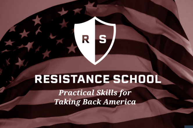 Page d’accueil du site «  Resistance School » créé par un groupe d’étudiants de l’université Havard Kennedy de Cambridge (Massachusetts).