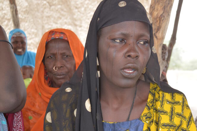 Fanta Yaou, 40 ans, en mars 2017, réfugiée au village de Toumour au Niger.