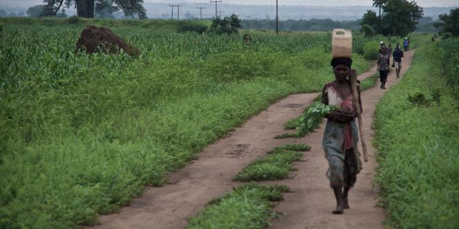 Une femme se rend aux champs, dans la région de Nsanje, dans l’extrême-sud du Malawi.