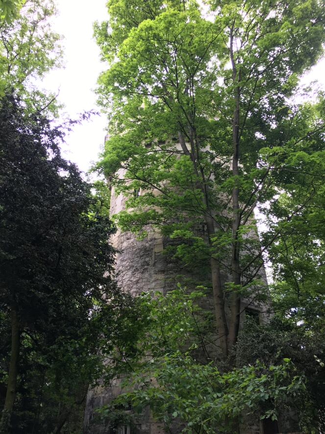 Une tour médiévale, crénelée à l’époque d’Haussmann, dans son environnement végétal actuel.