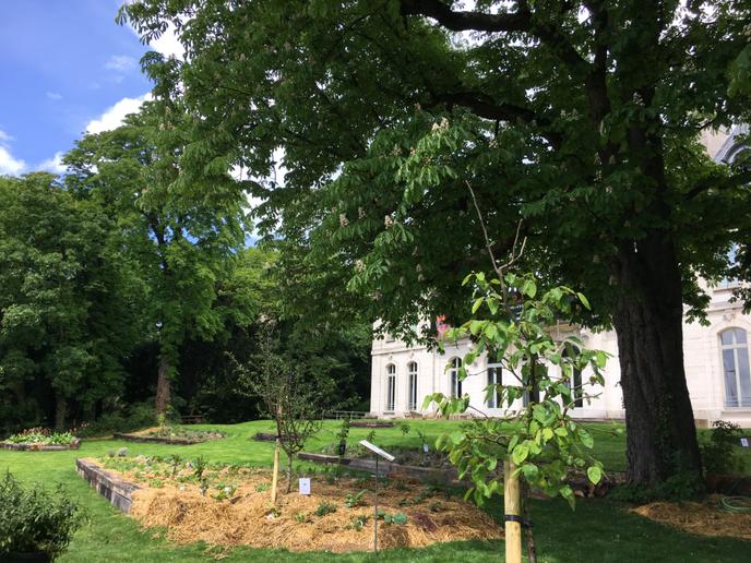 Le Jardin Planetaire Du Domaine De Longchamp