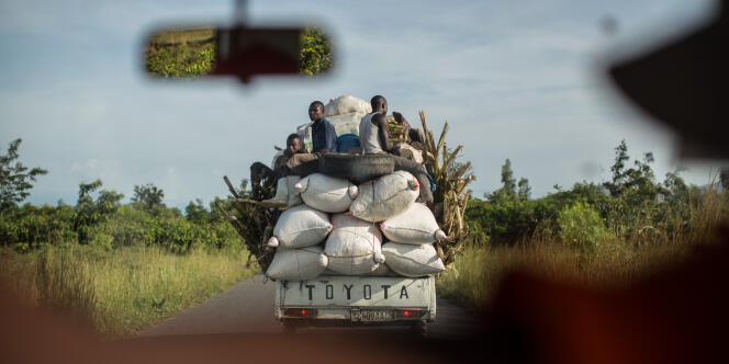 Une route de République démocratique du Congo, en 2015. Photo d’illustration.