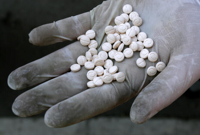 Un agent des douanes présente des pilules de Captagon, avant leur incinération à Sofia, en décembre 2007.