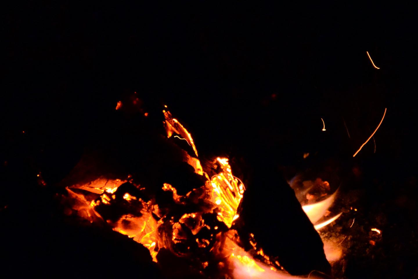 Lucie Taïeb, Antonio Rodriguez, Jean-Claude Schneider. Trans|Poésie, la ...