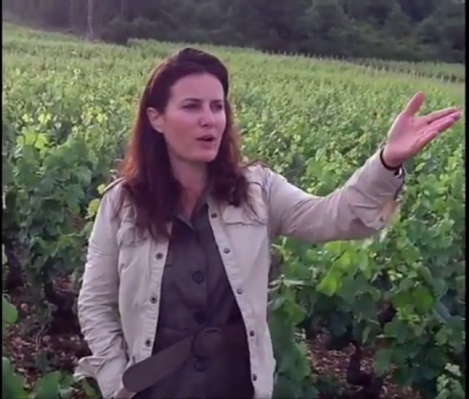 Virginie Taupenot, vigneronne à Morey-Saint-Denis (Côte-d’Or), et présidente de l’association Femmes et vins de Bourgogne : « On ne fait pas de vin de femme, on est des femmes de vin. »