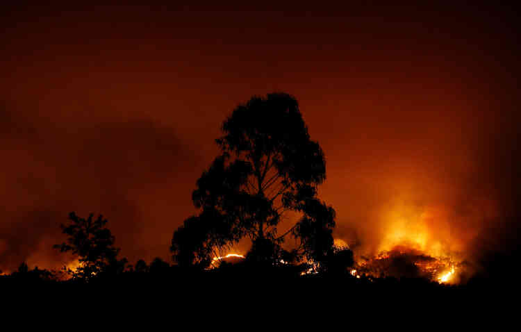 Le feu s’est déclaré samedi 17 juin peu avant 15 h, heure locale, dans la commune de Pedrogao Grande, située dans le district de Leiria.