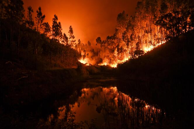 Le directeur national de la police judiciaire a affirmé que le feu qui a ravagé le Portugal, samedi 17 juin, était dû à un orage sec. / AFP / PATRICIA DE MELO MOREIRA