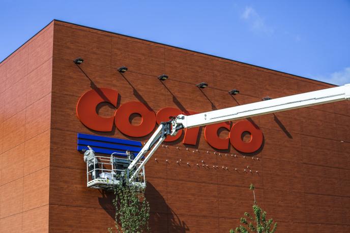 ours en peluche géant costco