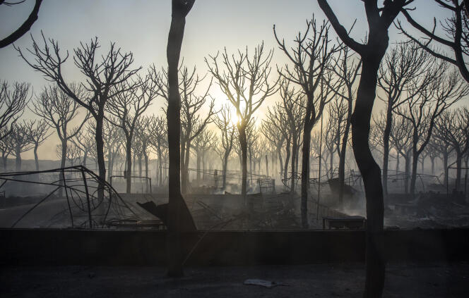 L’incendie a ravagé un camping près de Mazagon, dans le sud de l’Andalousie, dimanche 25 juin.