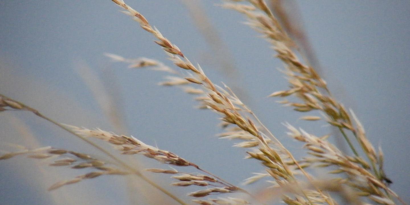 Salarie Et Independant Vous Payez Peut Etre Des Cotisations