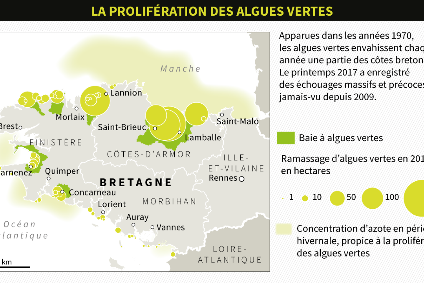 Algues vertes : un enjeu environnemental et sanitaire pour la Bretagne