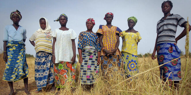 Au nord du Burkina Faso, des femmes cultivent des parcelles de riz.