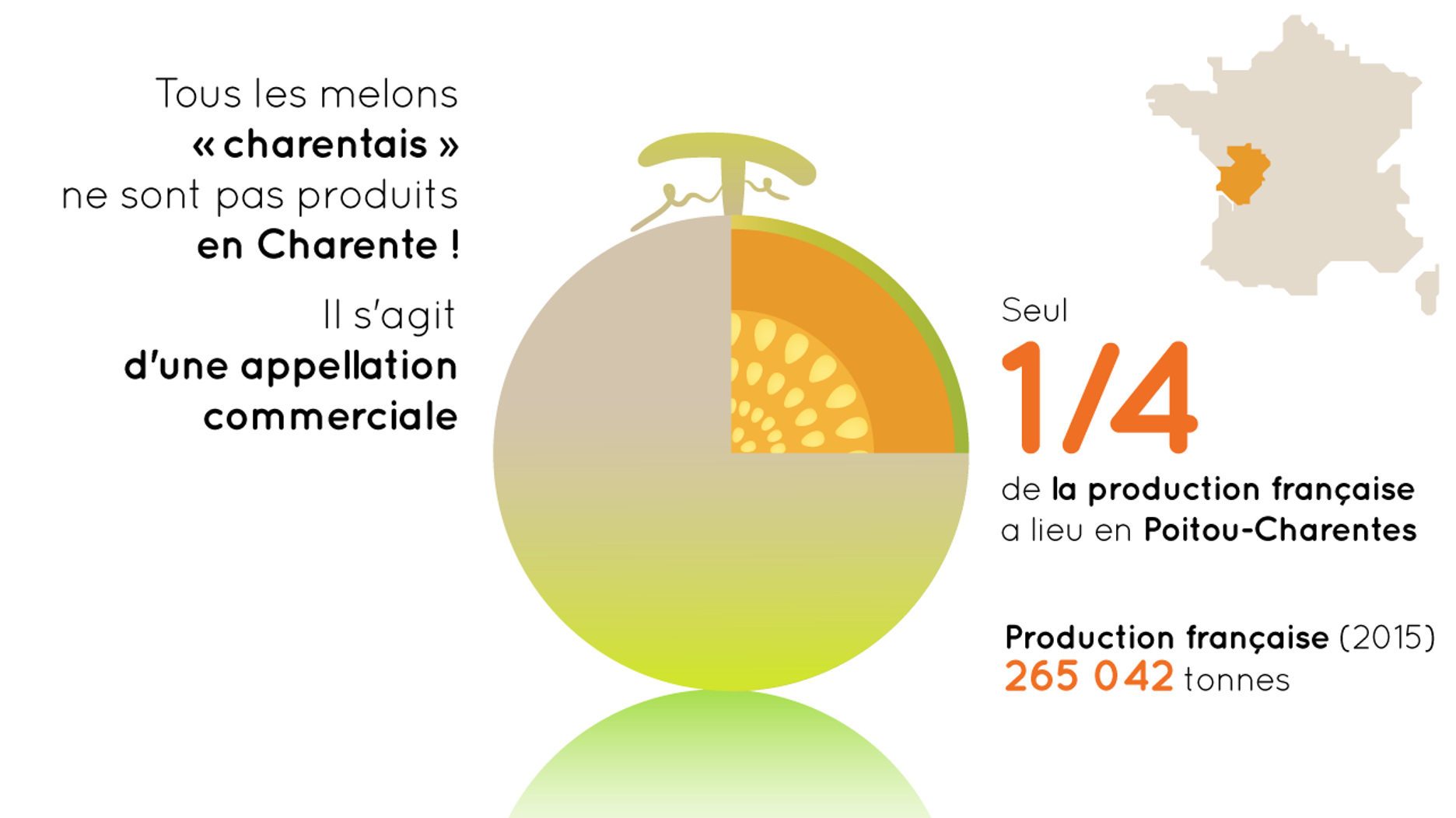Sous la peau de vos fruits et légumes d’été. (⅖) Le melon