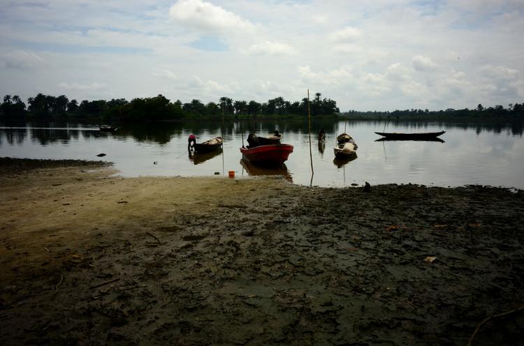 Sur la petite île de Nwemu, les oiseaux ne chantent plus et les poissons se meurent dans les eaux saumâtres infestées de pétrole. Une grande partie de la mangrove, la plus vaste d’Afrique, est recouverte d’un vernis noir.