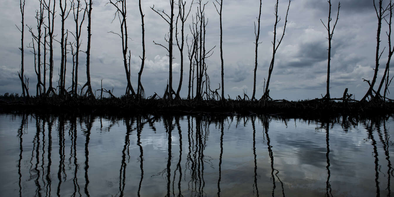 Le Delta Du Niger Ravage Par Le Venin Du Petrole