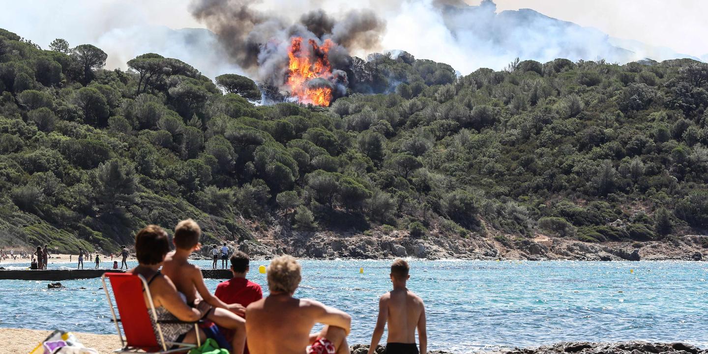 A La Croix Valmer Apres L Incendie Une Catastrophe Ecologique