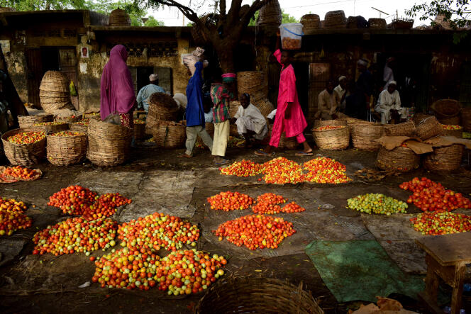 Au marché de légumes de Kano, dans le nord du Nigeria, en mai 2017.
