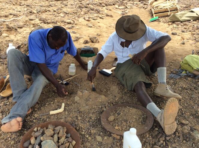 Délicate excavation du crâne fossile par Cyprian Nyete et Isaiah Nengo, sur le site de Napudet.