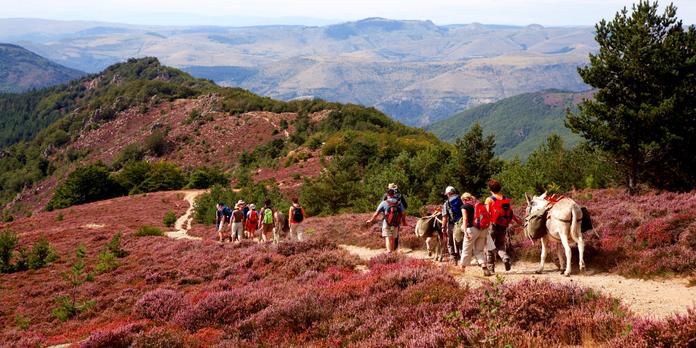 Les meilleurs gr de france Clearance