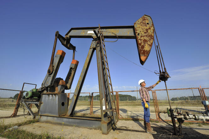 Un technicien contrôle un puits d’extraction de pétrole brut, à Triguères (Loiret) en 2008.