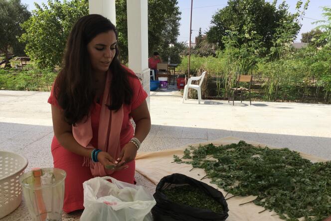 Sarah Toumi à Bir Salah, avec le moringa produit par sa tante et qu’elle s’apprête à broyer pour obtenir de la poudre.