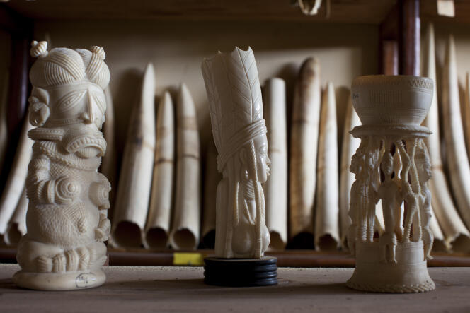 Statuettes d’ivoire confisquées au Cameroun en 2012.