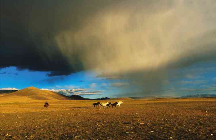 « Chevaux sous les nuages, à 4 800 mètres, à Bayang, sur la route du mont Kaïlash, dans l’ouest du Tibet. Lorsque j’ai vu ces nuages qui touchaient presque la terre, j’ai demandé au conducteur de faire une halte. A peine avais-je traversé la route et couru pour me placer au bon endroit, avant que cette lumière magique ne disparaisse, que les chevaux sont arrivés au galop en bonus. »