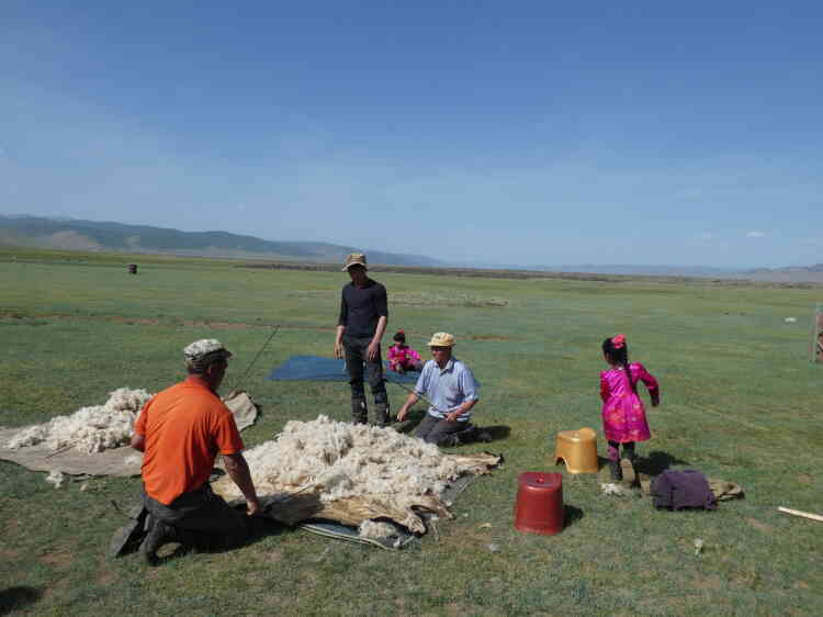 Dans la vallée, les familles nomades vivent un peu du tourisme, beaucoup de l’artisanat du feutre. La laine humide est battue, mise en couche et enroulée autour d’un tronc, puis tirée derrière un cheval pendant une heure pour la tasser.