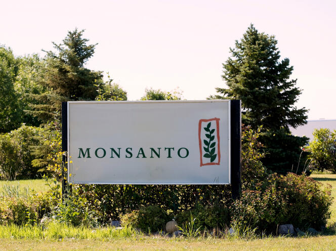 Une ferme de recherche Monsanto, près de Carman (Canada), le 3 août.
